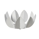 centrotavola ficus bianco sfondo bianco