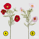 EDG Enzo De Gasperi Cosmos Ramo Con Foglie