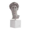 Davide Head M Grey Sophia