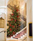 EDG Enzo De Gasperi | Albero di Natale Pino Luxury con 4000 Led  H 210 cm