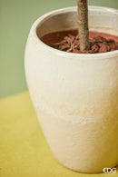 Vaso Bombato Glaze ceramica smaltata Waterproof By EDG Enzo De Gasperi