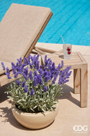 Vaso Ciotola Glaze Smaltato Waterproof EDG Enzo De Gasperi