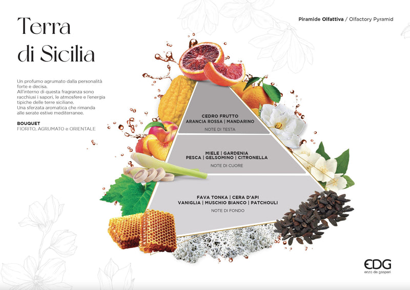 Profumatore Ambiente 100ml con Bastoncini EDG