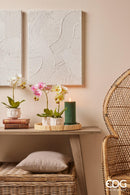 Pianta Artificiale Orchidea EDG Enzo De Gasperi