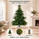 Kit Scenografico Natale | Albero Grandis Fir H 240 cm con Base Tronco e 1512 LED