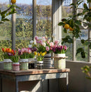 EDG Enzo De Gasperi Bouquet di Tulipani artificiale OLIS in gomma