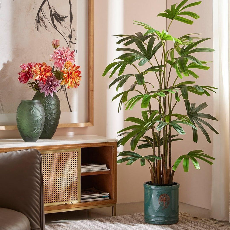 Pianta Palma Rapisgracilis con vaso H 120 cm EDG Enzo De Gasperi