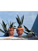 Scultura Vaso in Terracotta Woman Magna Graecia SELETTI