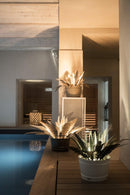 Lampada Felce  luminosa Arti & Mestieri