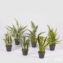 Pianta Artificiale WEST H 54 cm. con vaso By EDG Enzo De Gasperi