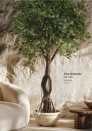 EDG Enzo De Gasperi | Pianta artificiale Ficus Beniamino con Zolla