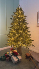 EDG Enzo De Gasperi | Albero di Natale Pino Argentato con 4000  Led H 210 cm
