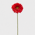 EDG Enzo De Gasperi | Gerbera Ramo 6 colori assortiti