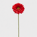 EDG Enzo De Gasperi | Gerbera Ramo 6 colori assortiti
