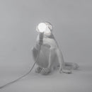 The Monkey Lamp - sitting accesa