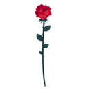 Vesta Fiore Artificiale Funny Flowers in Cristallo Acrilico