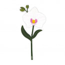 Vesta Fiori Special Moments in cristallo acrilico