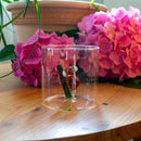 WD Lifestyle Bicchiere 250 ml. in vetro borosilicato con decoro Tema Animali Monterey