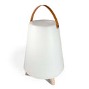 WD Lifestyle Secchiello Ghiaccio con Lampada LED  e Speaker Rooftop Bluetooth