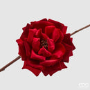 EDG Enzo De Gasperi | Rosa in velluto