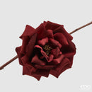 EDG Enzo De Gasperi | Rosa in velluto