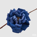 Rosa in Velluto - EDG