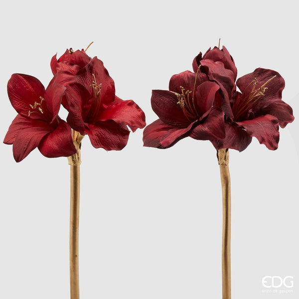 Amaryllis con Ramo Oro - EDG