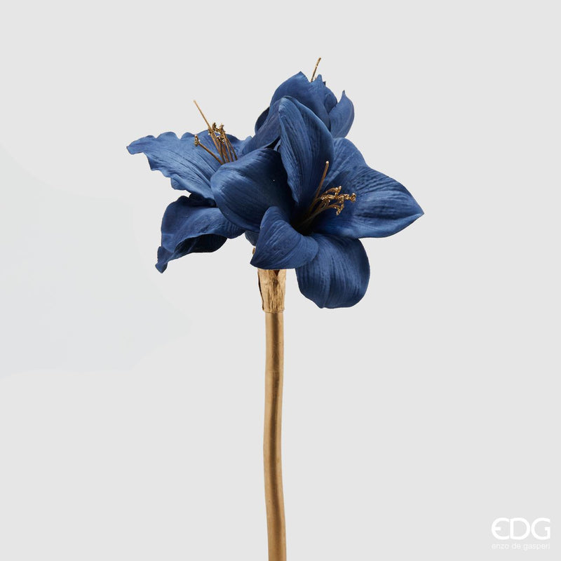 Amaryllis con Ramo Oro - EDG