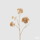 EDG Enzo De Gasperi | Pohutukawa Oro