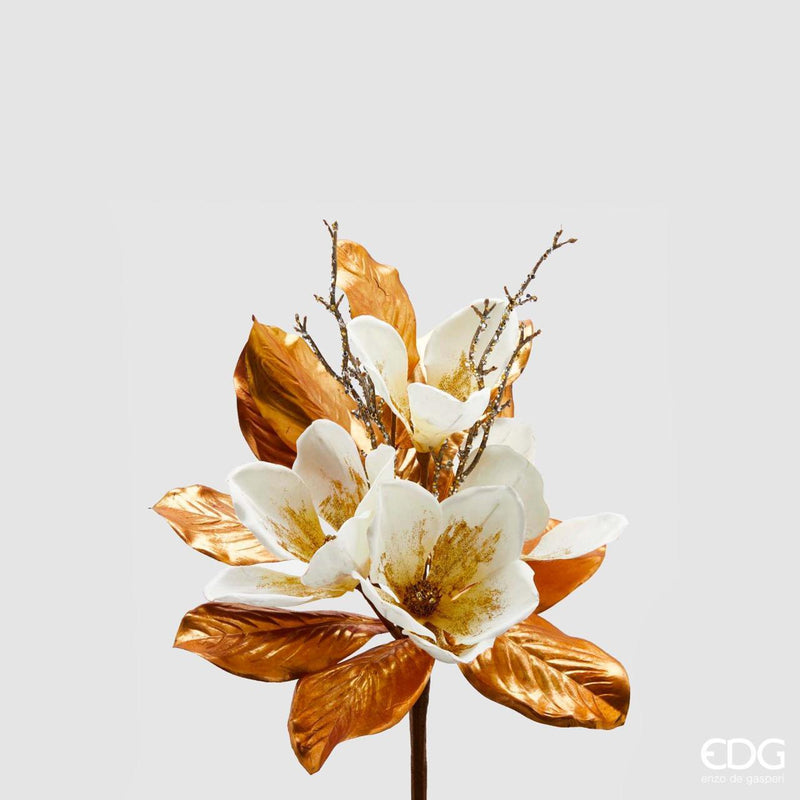 Magnolia - EDG