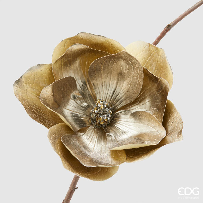 Magnolia Oro - EDG
