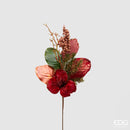 EDG Enzo De Gasperi | Amaryllis Natalizio