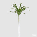Ramo Dracena EDG