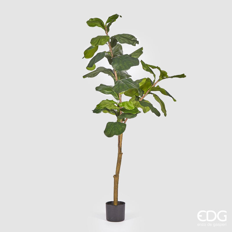 Ficus lyrata artificiale da 1,2m da interno ed esterno, Piante