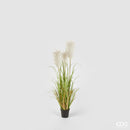 EDG Enzo De Gasperi Pianta artificiale PAMPAS con vaso in erba piumata