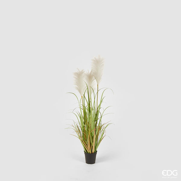 EDG Enzo De Gasperi Pianta artificiale PAMPAS con vaso in erba piumata