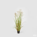 EDG Enzo De Gasperi Pianta artificiale PAMPAS con vaso in erba piumata