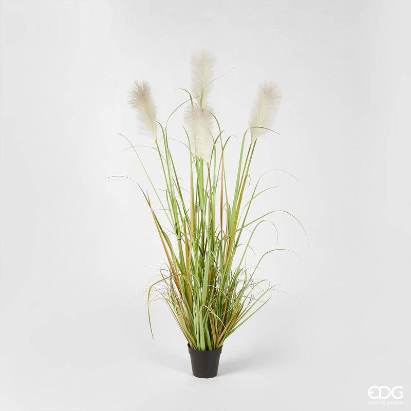Pianta artificiale erba piumata PAMPAS con vaso by EDG Enzo De Gasperi