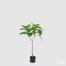 Pianta artificiale ELAEOCARPUS CHIC con vaso By EDG Enzo De Gasperi
