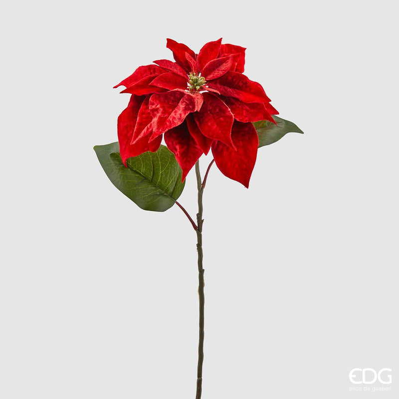 Stella di Natale in Velluto - EDG