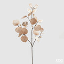 EDG Enzo De Gasperi  Eucalipto in Velluto con Ramo -