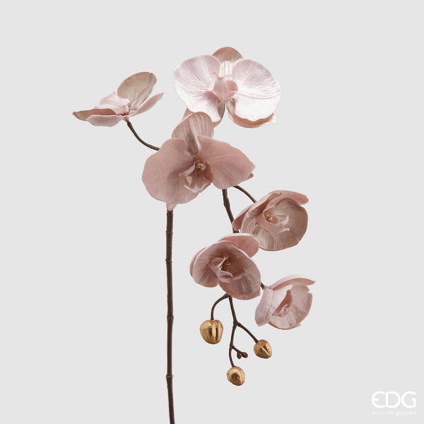 Orchidea con Ramo - EDG