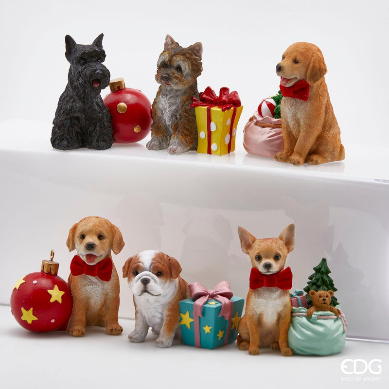 Cane XMas Poly - EDG il