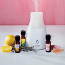 Diffusore ad ultrasuoni Yankee Candle