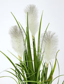 EDG Enzo De Gasperi Pianta artificiale PAMPAS con vaso in erba piumata