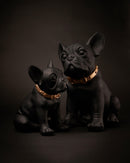 Statua in poliresina large Collezione Bulldog RUGGIERO By Blogo Lifestyle