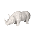 Rinoceronte Mastercraft