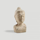 Scultura Testa di Donna Dialma Brown