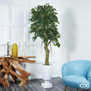 EDG Enzo De Gasperi Pianta Artificiale Ficus Beniamino H 180 cm.