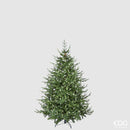 EDG Enzo De Gasperi | Albero di Natale Pino Luxury con 3000 Led H 180 cm
